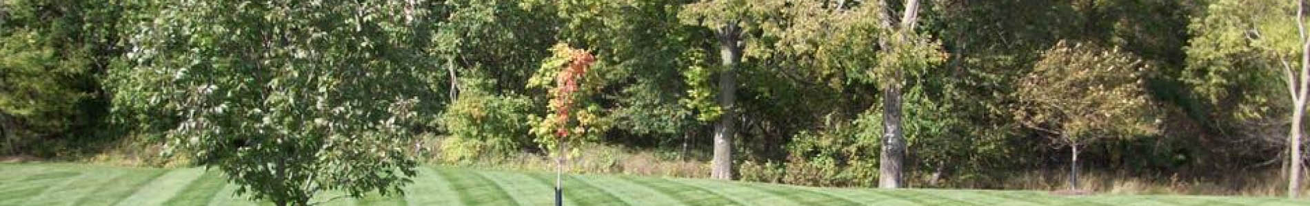 Lawn Maintenance Services