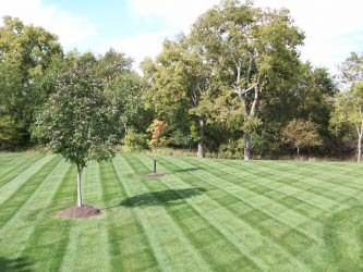 Lawn Maintenance Services