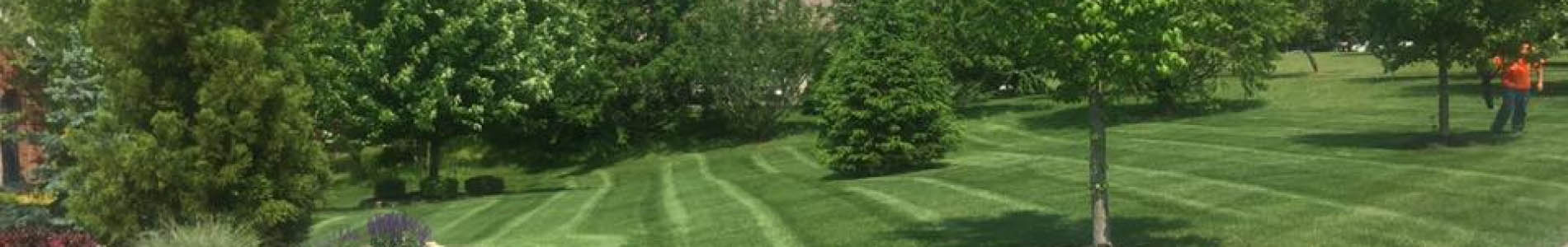 Lawn Maintenance