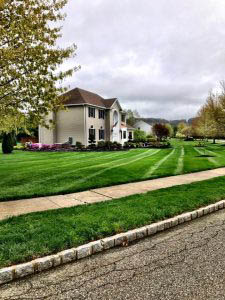 Front yard landscape design