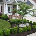 Front Yard Landscaping Services