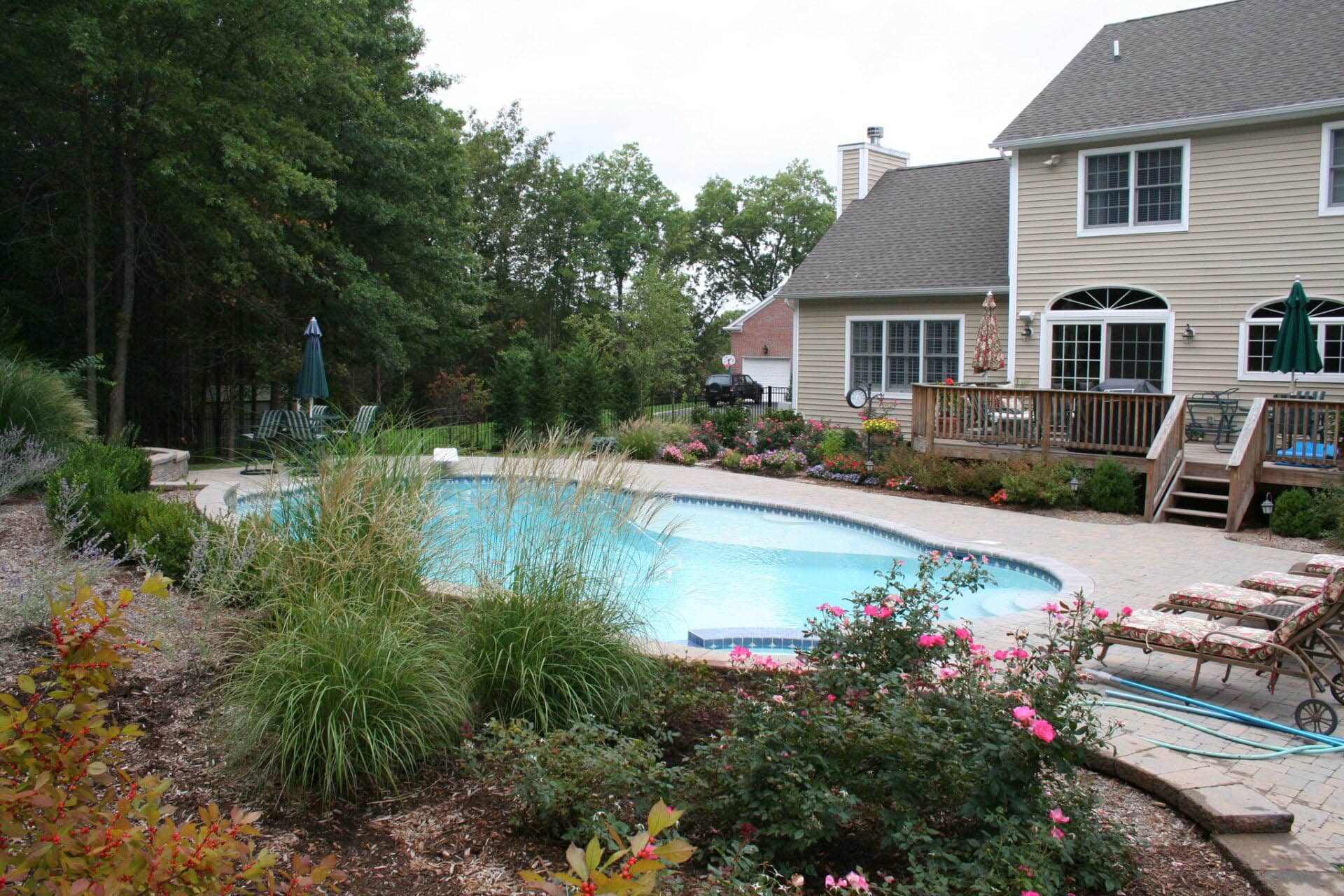 Backyard Pool Designs & Projects