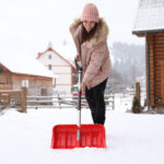 5 Essential Winter Lawn Care Tips