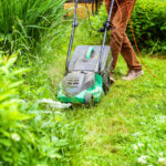 Spring Yard Cleanup Checklist