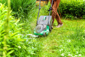 Spring Yard Cleanup Checklist