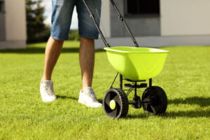 Fertilizing lawn